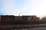 CN 8020